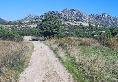 Sendero Local 3: Ruta ecológica de la Vega