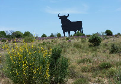 Sendero Local 1: Ruta del Toro